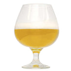 Duck Duck Gose Beer in a glass