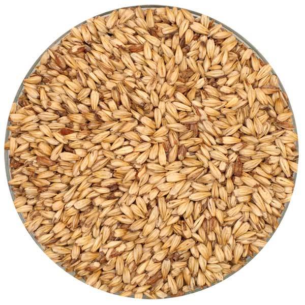 Briess Caramel 10L Malt in a bowl