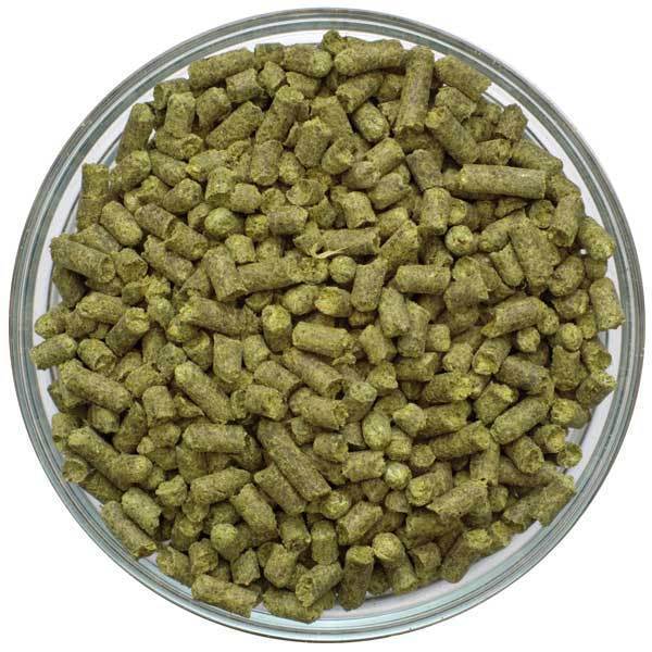 Zamba Hop Pellets in a display bowl