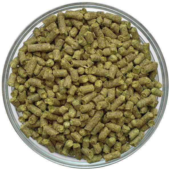 Detail view of El Dorado Hop Pellets