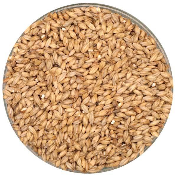 Crisp Pale Malt in a display bowl