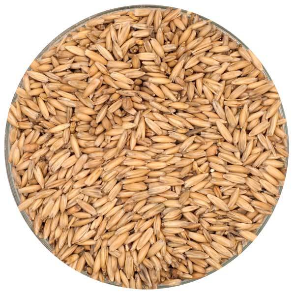 Fawcett Oat Malt in a bowl