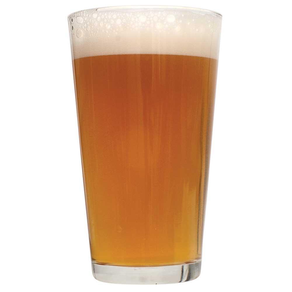 Tangerine Ravine pale ale homebrew in a glass