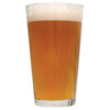 Tangerine Ravine pale ale homebrew in a glass