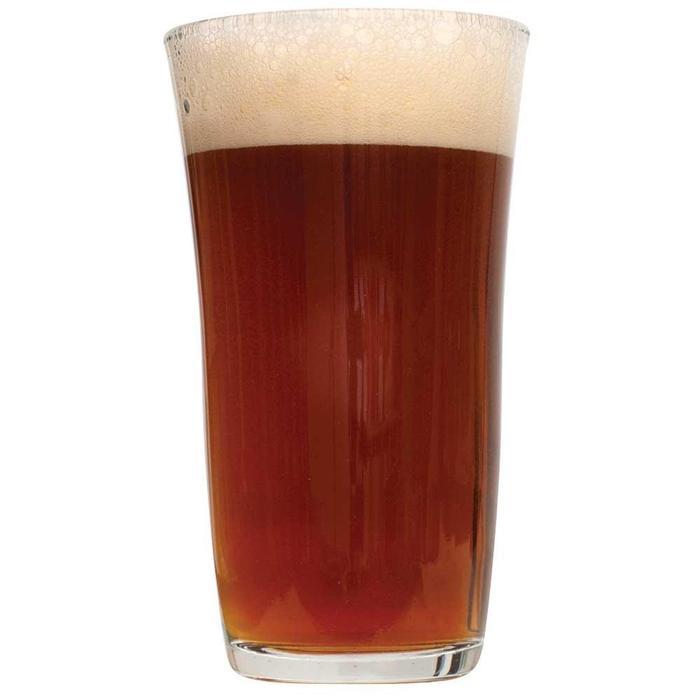 Megalodon Imperial Red Ale in a glass