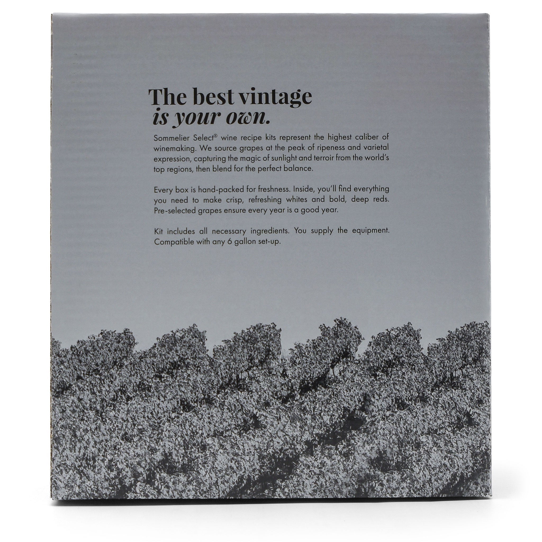 California Sauvignon Blanc Wine Kit - Master Vintner® Sommelier Select® back