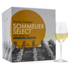 Italian Pinot Grigio - 6 Gallon Wine Kit - Master Vintner® Sommelier Select®