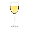 Chilean Chenin Blanc 100% Wine Must - Pre-Order & Retail Only