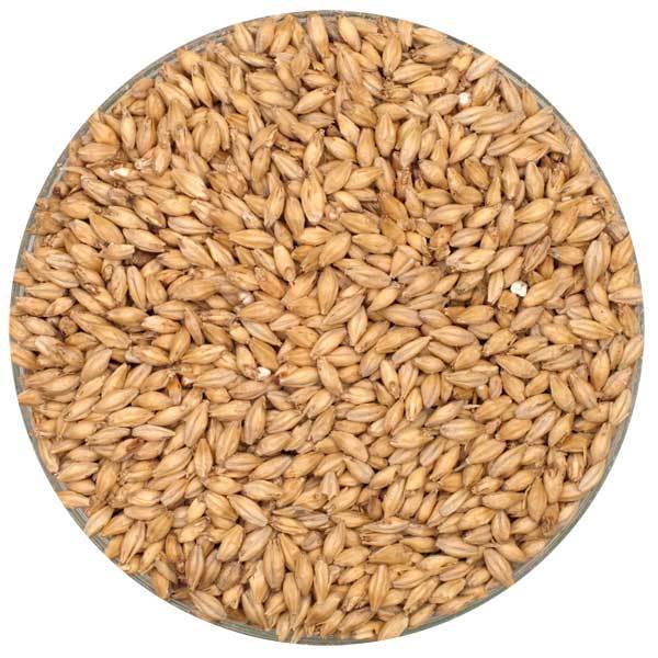 Rahr Premium Pilsner Malt in a bowl