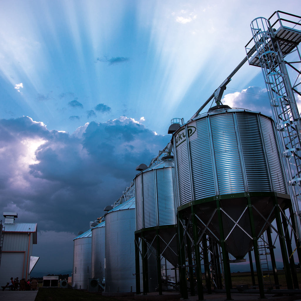 Grain silos at Root Shoot Malting