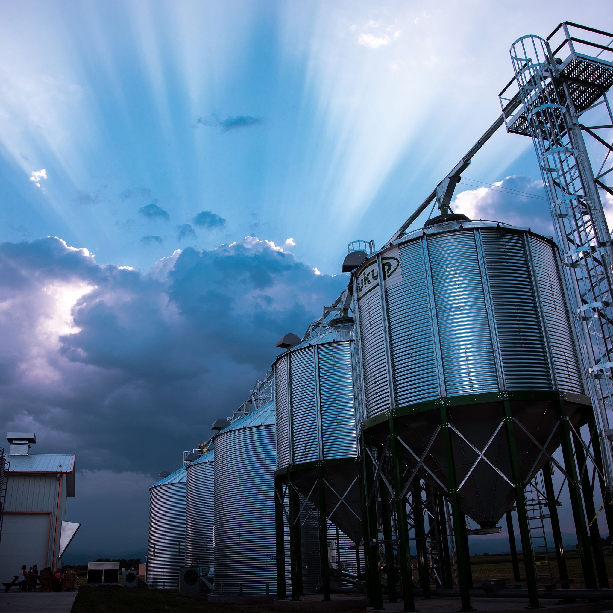 Grain silos at Root Shoot Malting