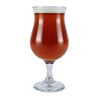 Spiced winter ale homebrew in a glass