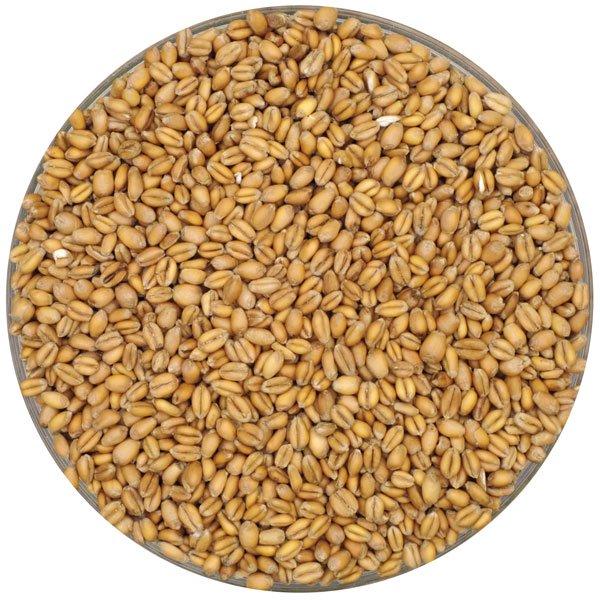 Bowl of Torrified Wheat