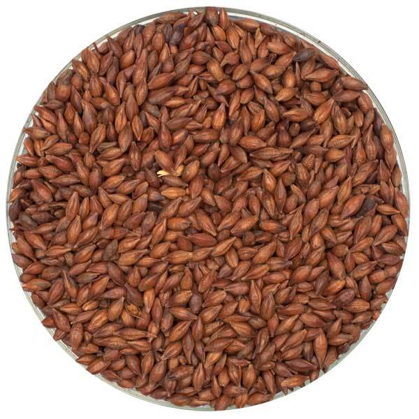 Bowl of Briess Light Roasted Barley