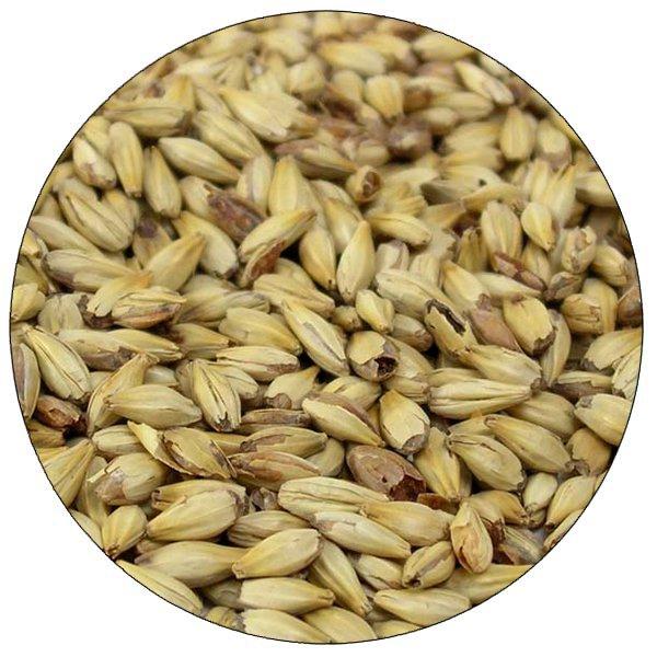 Close up view of Briess Caramel 20L malt