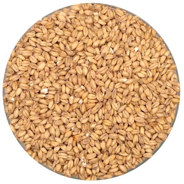 Rahr White Wheat Malt in a bowl