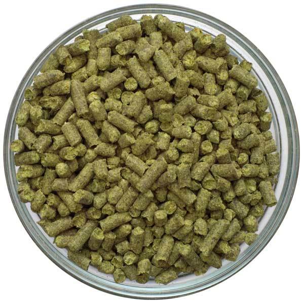 UK Kent Goldings Hop Pellets in a bowl