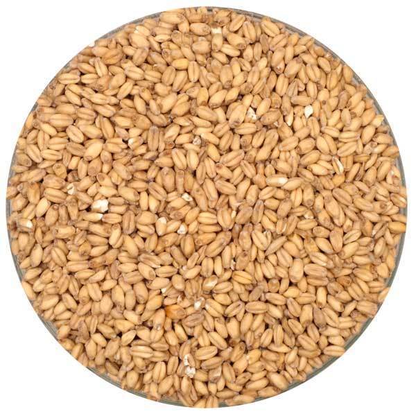 Wheat Malt - Canada Malting - 55 lb. Sack