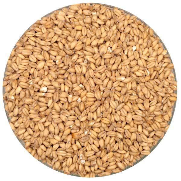 Wheat Malt - Canada Malting